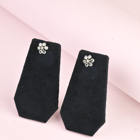 Paired Earrings