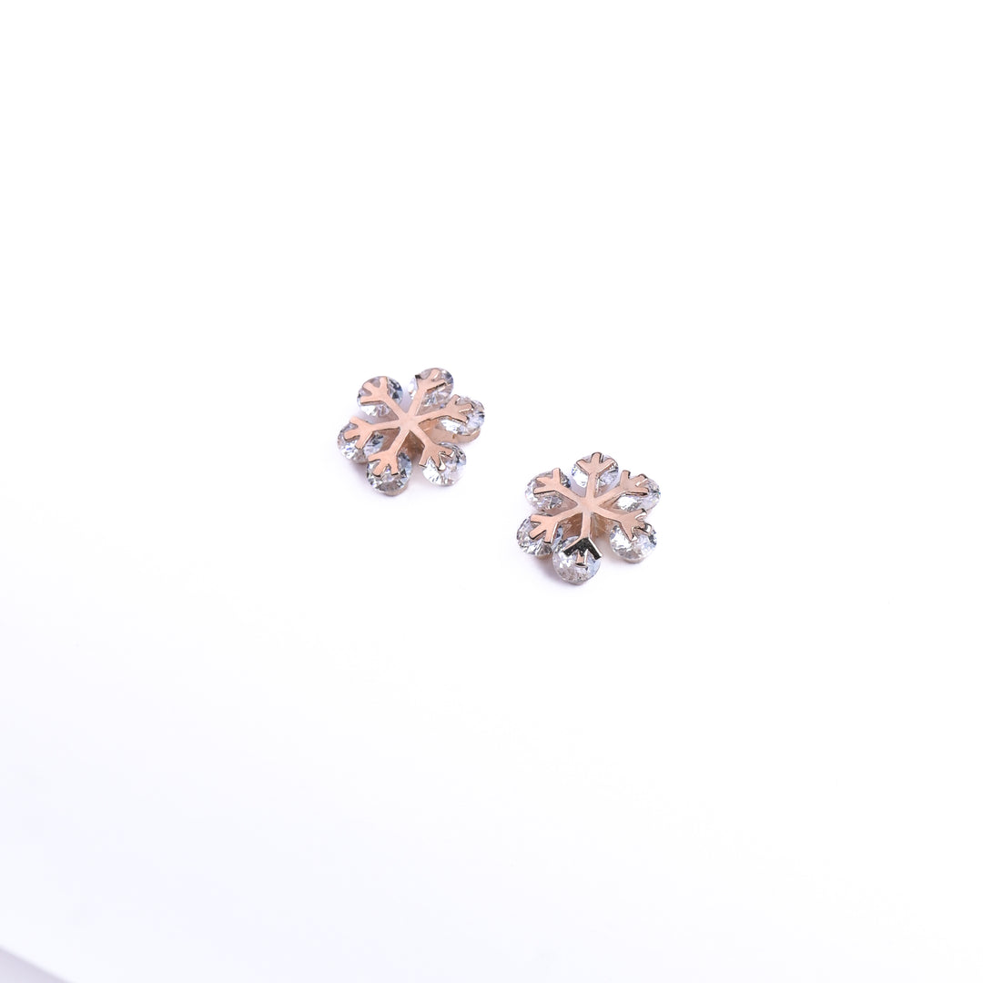 Paired Earrings